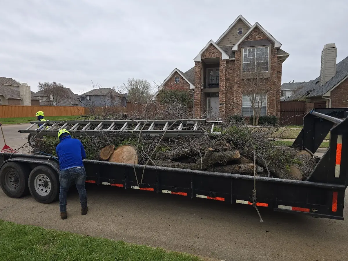 Expert Tree Fertilization with proper safety equipment in Hesston